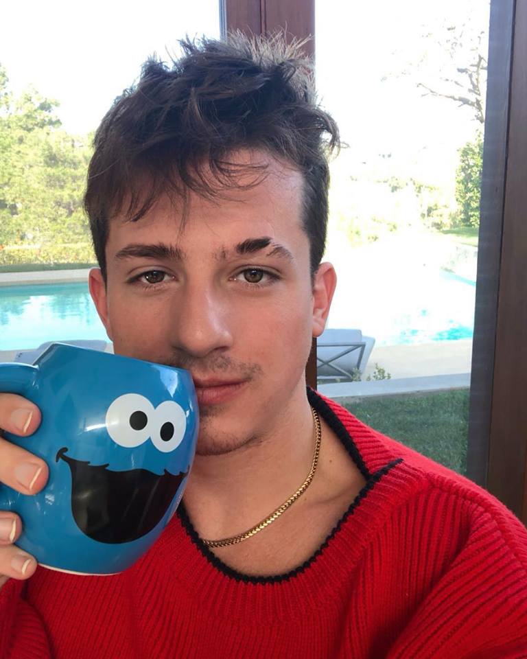 Charlie Puth Age, Net Worth, Height, Girlfriend, Eyebrow ...