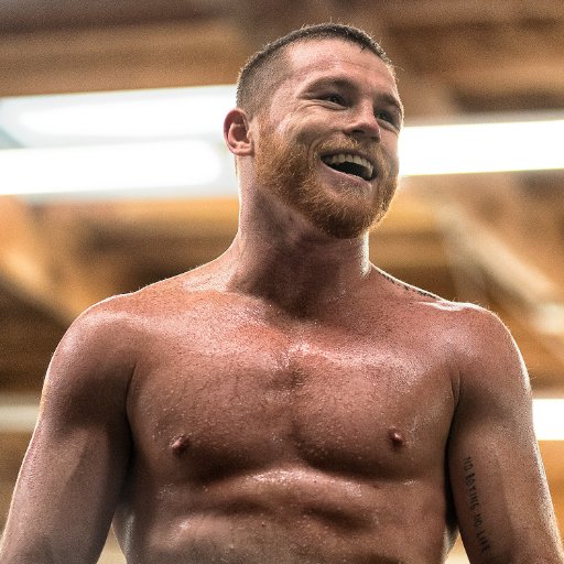 Canelo Alvarez Age, Height, Weight, Net Worth, Wife 2021 ...