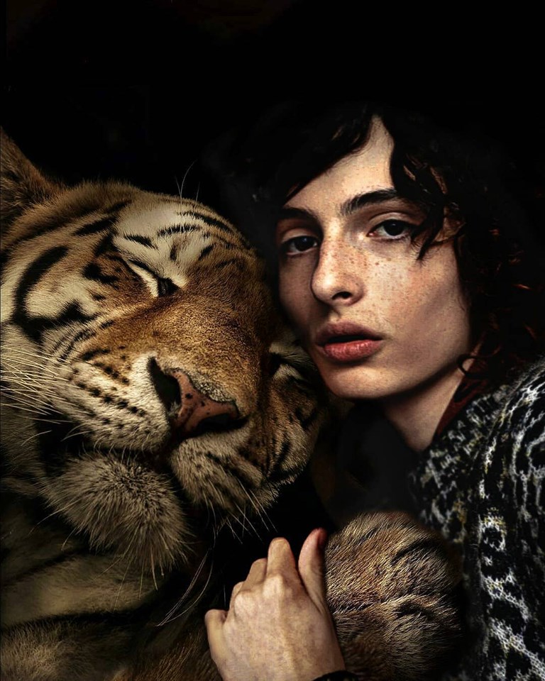 Finn Wolfhard Finn Wolfhard