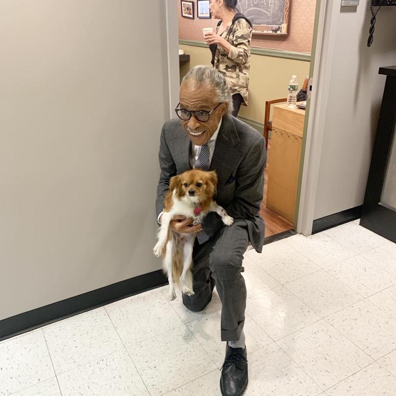Al Sharpton Al Sharpton